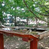 photo 2022-06-07 11-56-34