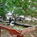 photo 2022-05-23 12-31-54