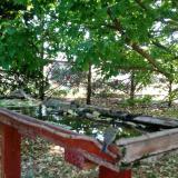 photo 2022-05-12 08-56-05