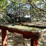 photo 2022-10-17 12-08-40