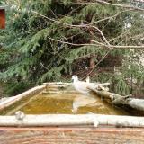 photo 2023-03-20 11-36-33