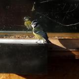 photo 2023-01-02 09-29-18