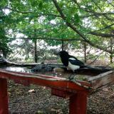 photo 2022-06-09 09-42-57