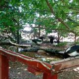 photo 2022-06-01 11-35-20