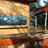 photo 2022-12-01 09-21-14