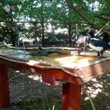 photo 2022-07-21 16-09-52