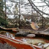 photo 2022-02-18 07-28-36