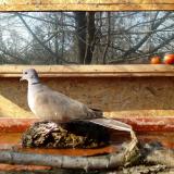 photo 2022-02-14 11-58-34