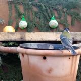 photo 2023-12-27 08-51-12