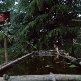 photo 2023-04-06 19-16-58