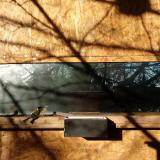 photo 2023-01-31 08-47-09