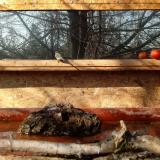 photo 2022-02-14 11-00-00