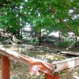 photo 2022-05-10 14-48-56