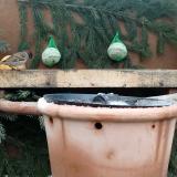 photo 2024-01-08 12-20-09