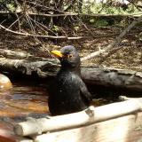 photo 2022-04-06 12-36-14 rigo