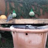 photo 2024-01-08 08-35-19