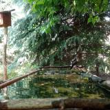 photo 2023-06-07 14-12-43