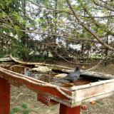 photo 2022-04-08 12-37-39