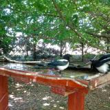 photo 2022-06-03 13-33-59