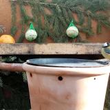 photo 2024-01-14 10-34-31