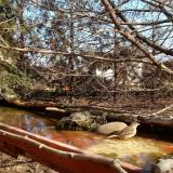 photo 2022-02-15 11-35-11