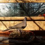 photo 2022-02-04 08-52-08