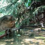 photo 2023-05-22 15-15-32