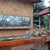 photo 2022-11-28 12-32-59