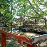 photo 2022-04-20 09-21-15