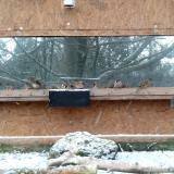 photo 2023-12-05 09-08-42