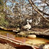 photo 2022-02-16 13-20-29