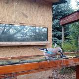 photo 2022-11-04 08-23-47