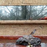 photo 2022-02-01 13-14-39