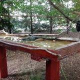 photo 2022-07-21 19-48-45