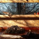 photo 2022-02-10 10-19-22