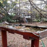 photo 2022-10-22 16-55-00