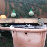 photo 2024-01-08 08-38-57