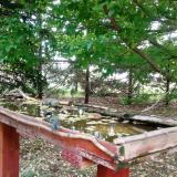 photo 2022-05-08 10-59-36