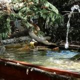 photo 2022-10-17 12-11-35 verebek