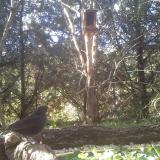 photo 2024-09-30 15-11-23