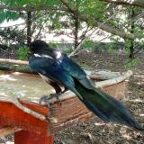 photo 2022-06-27 13-15-06