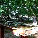 photo 2022-05-26 16-37-46