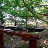 photo 2022-06-08 08-59-12