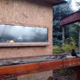 photo 2022-11-13 06-31-35