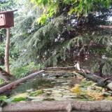 photo 2023-05-10 19-15-51