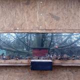 photo 2023-01-19 13-59-18