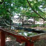 photo 2022-06-03 10-39-55