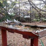 photo 2022-10-22 15-54-27