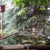 photo 2023-06-08 17-59-36