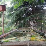 photo 2023-05-11 12-19-22